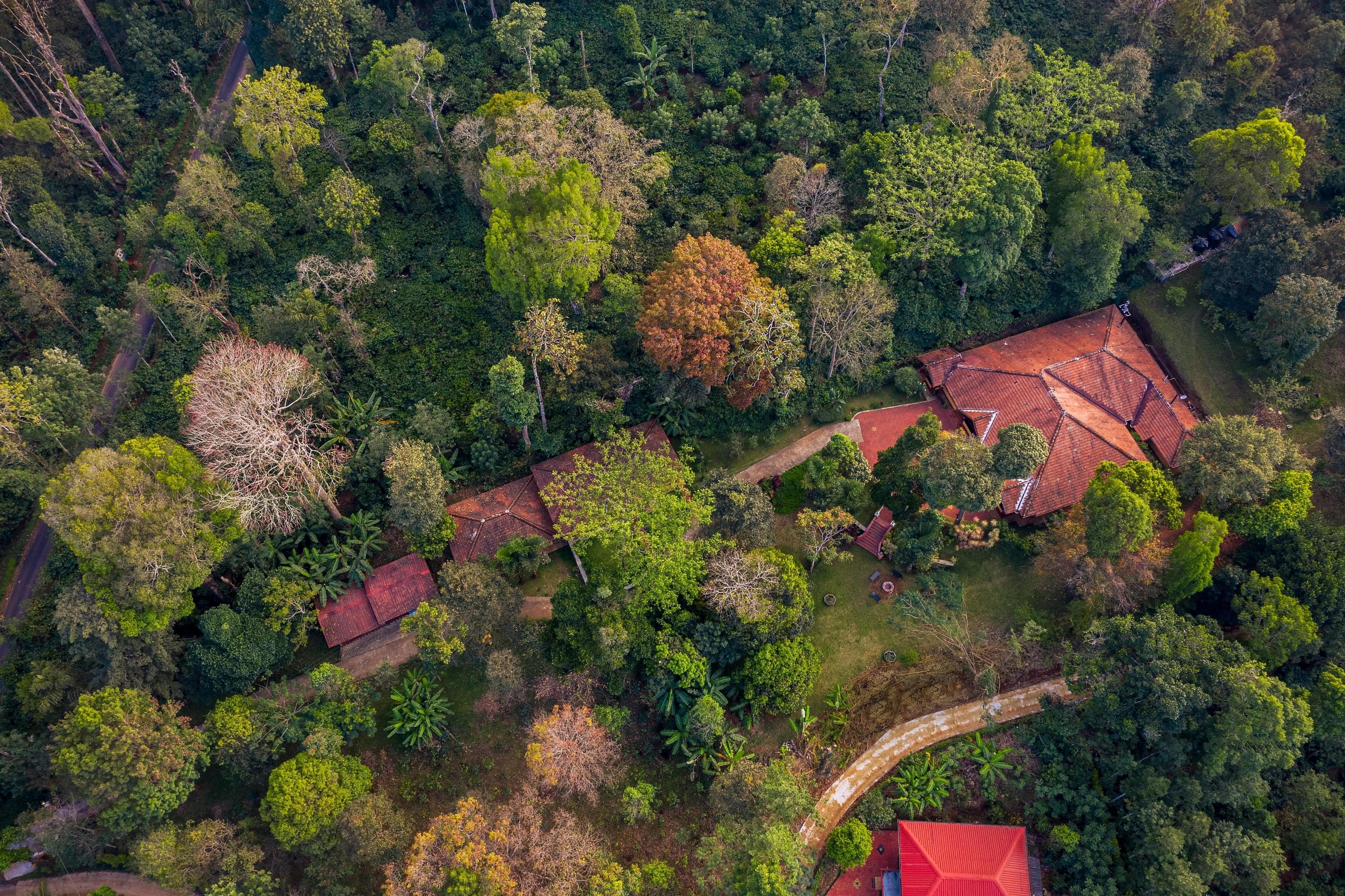 AMA STAYS & TRAILS | RARE EARTH ESTATE